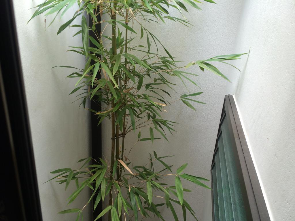 京都市 華乃家別邸ヴィラ エクステリア 写真